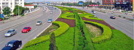 天津實施七大造林工程 進津通道建“綠色長廊”